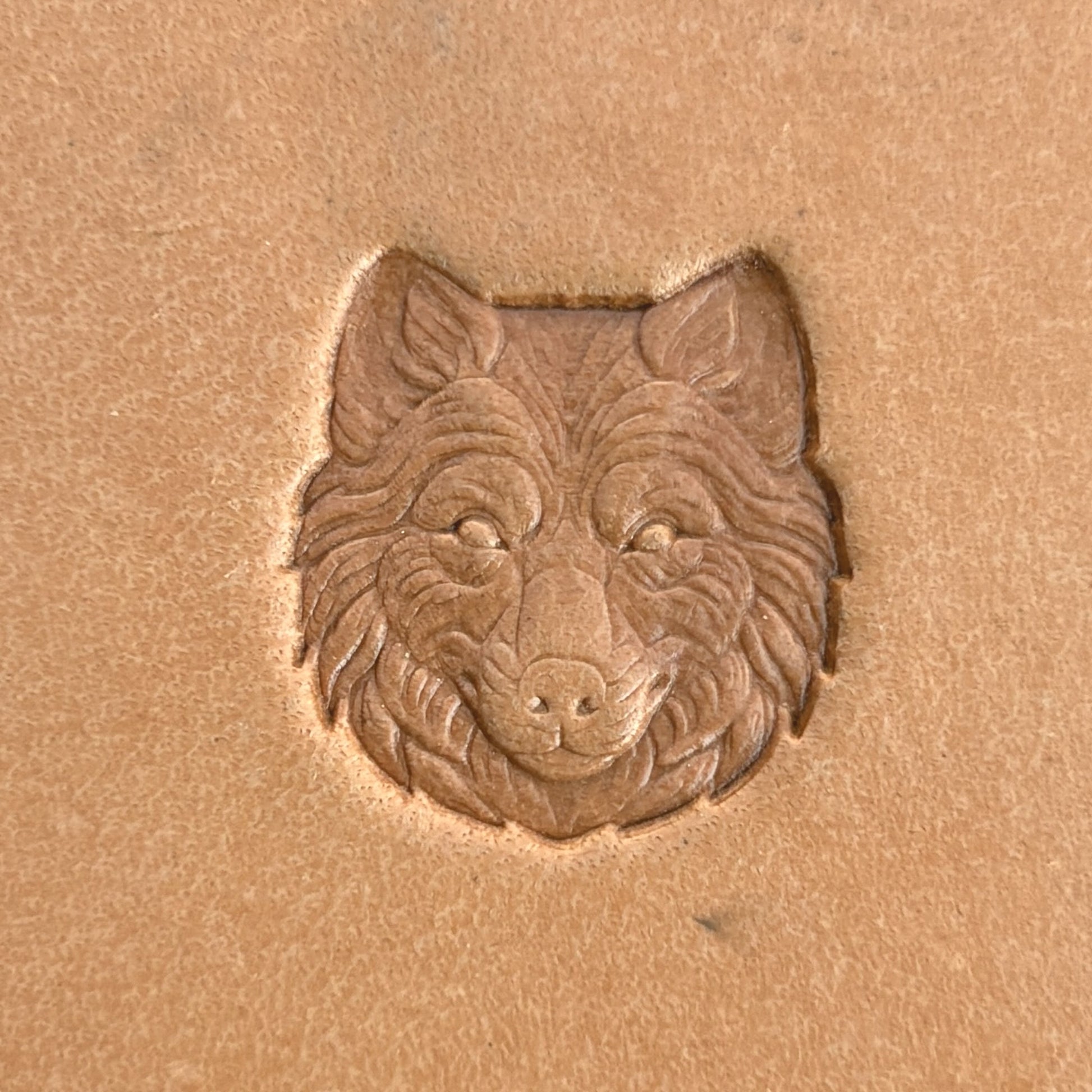 Fluffy Face Wolf leather stamp LT589 — single impression on veg-tan leather