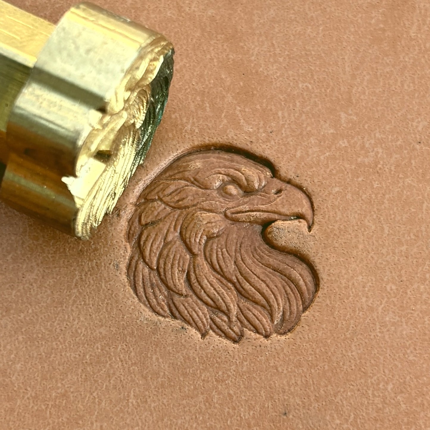 Head Eagle leather stamp LT590 — brass stamping tool with imprint on natural veg-tan leather