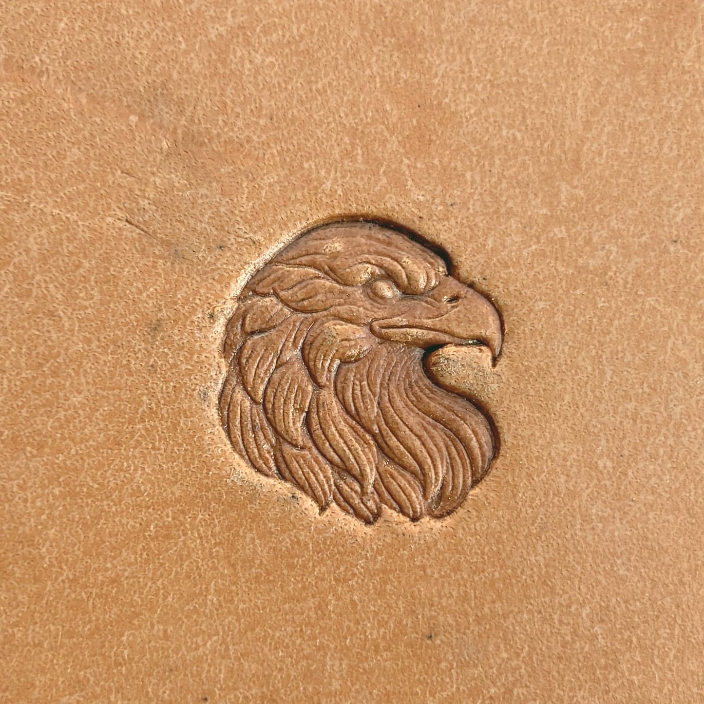 Head Eagle leather stamp LT590 — single impression on veg-tan leather