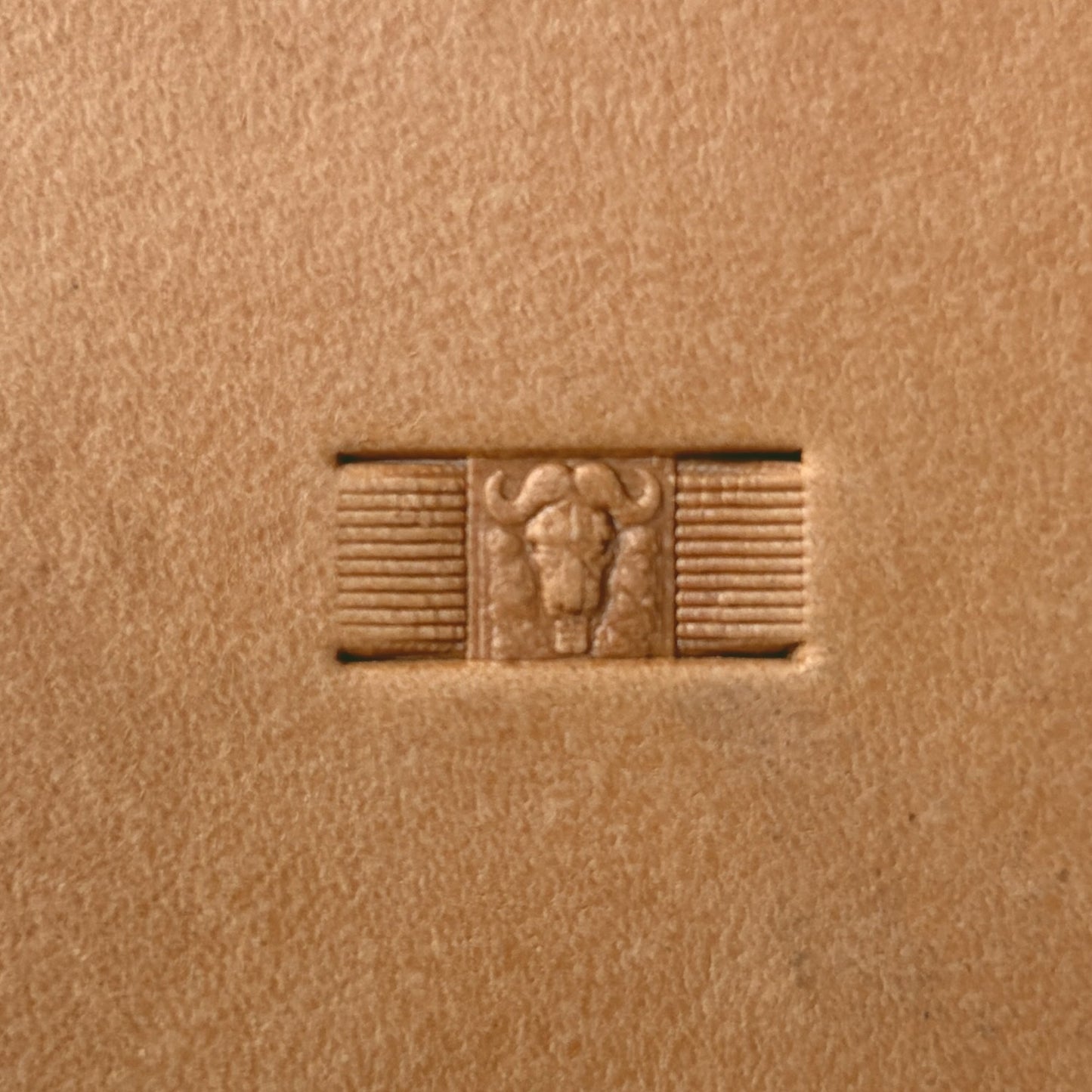 Buffalo Head leather stamp LT591 — single impression on veg-tan leather