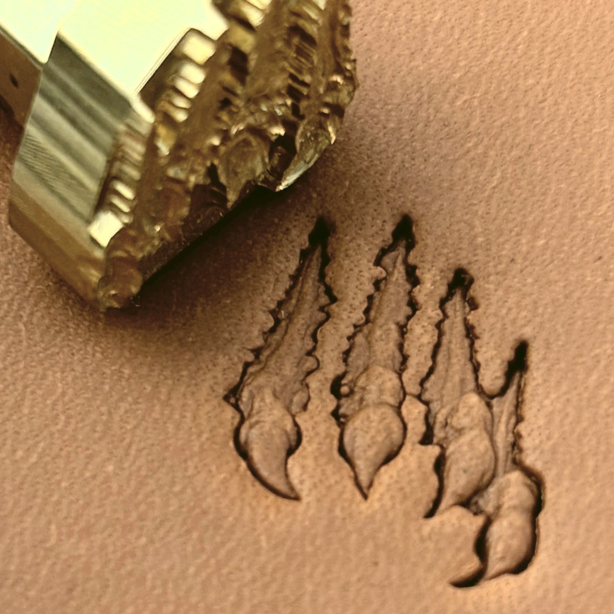 Claw Marks Paw leather stamp LT613 — brass stamping tool with imprint on natural veg-tan leather