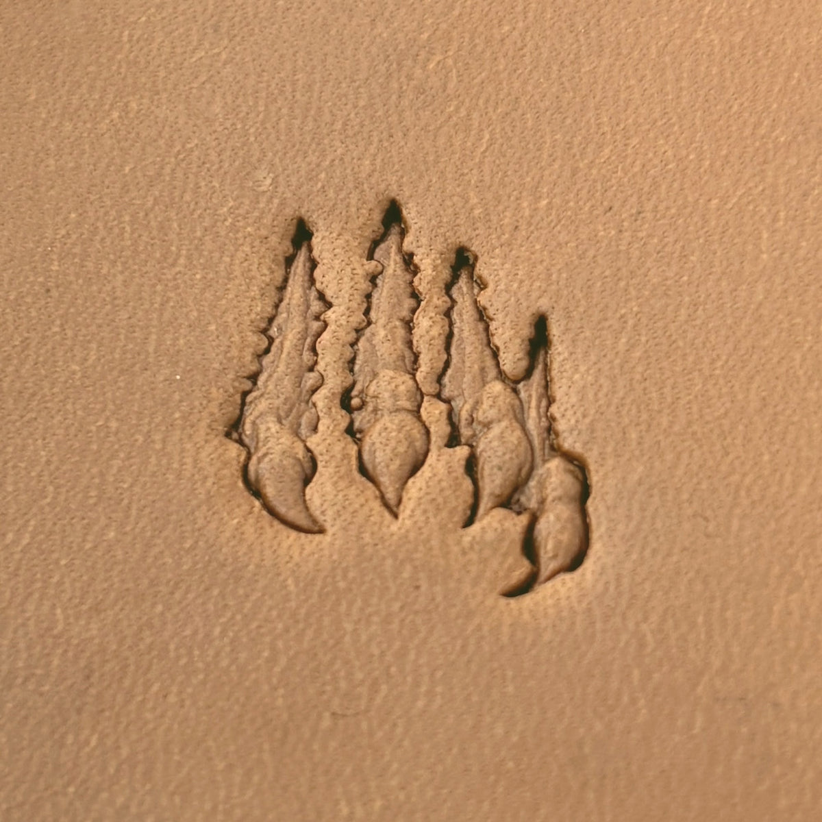 Claw Marks Paw leather stamp LT613 — pattern imprint on veg-tan leather