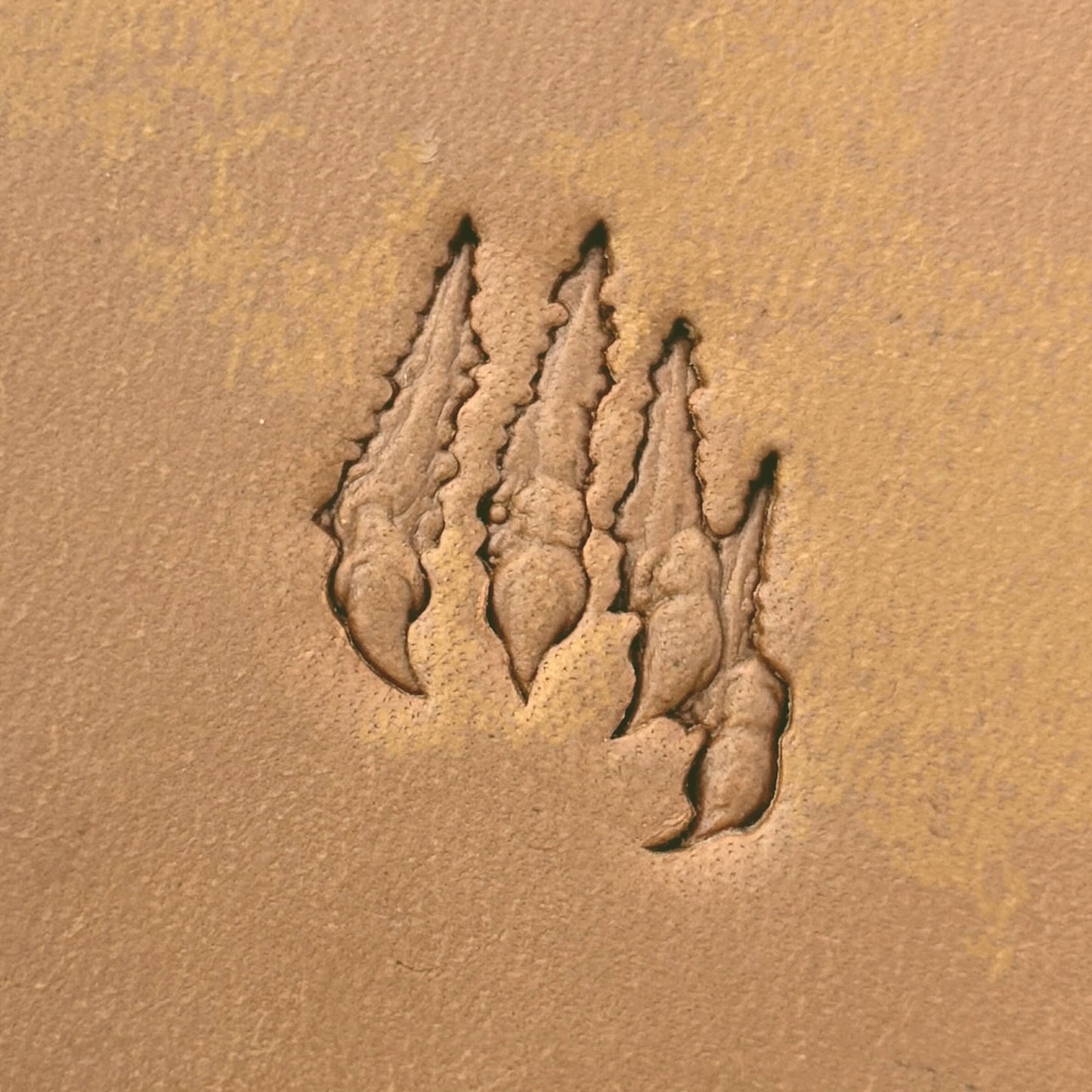 Claw Marks Paw leather stamp LT613 — pattern imprint on veg-tan leather