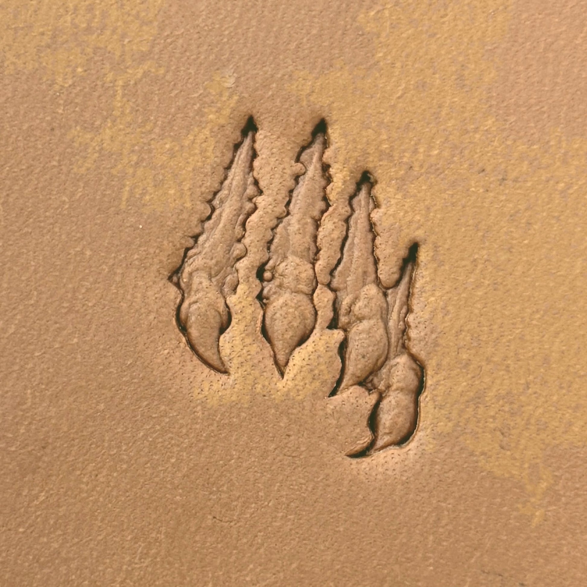 Claw Marks Paw leather stamp LT613 — pattern imprint on veg-tan leather