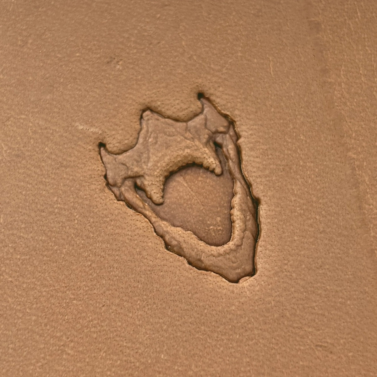 Open Jaws Skull leather stamp LT615 — pattern imprint on veg-tan leather