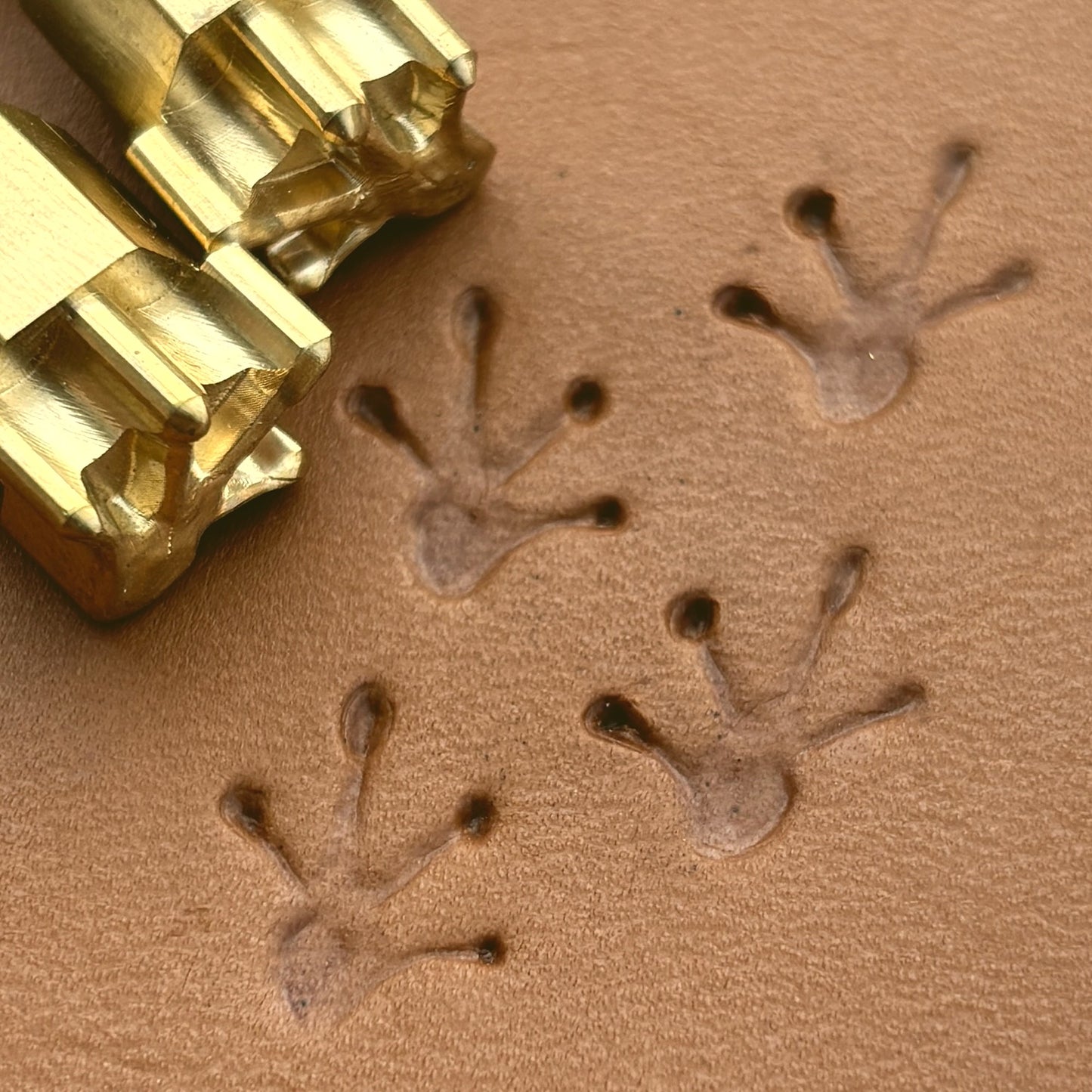 Frog Footprint leather stamp LT616 — brass stamping tool with imprint on natural veg-tan leather