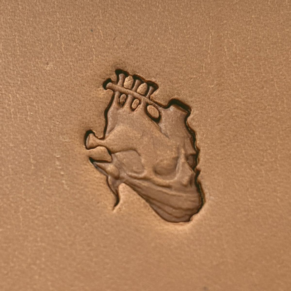 Head Dragon leather stamp LT617 — pattern imprint on veg-tan leather