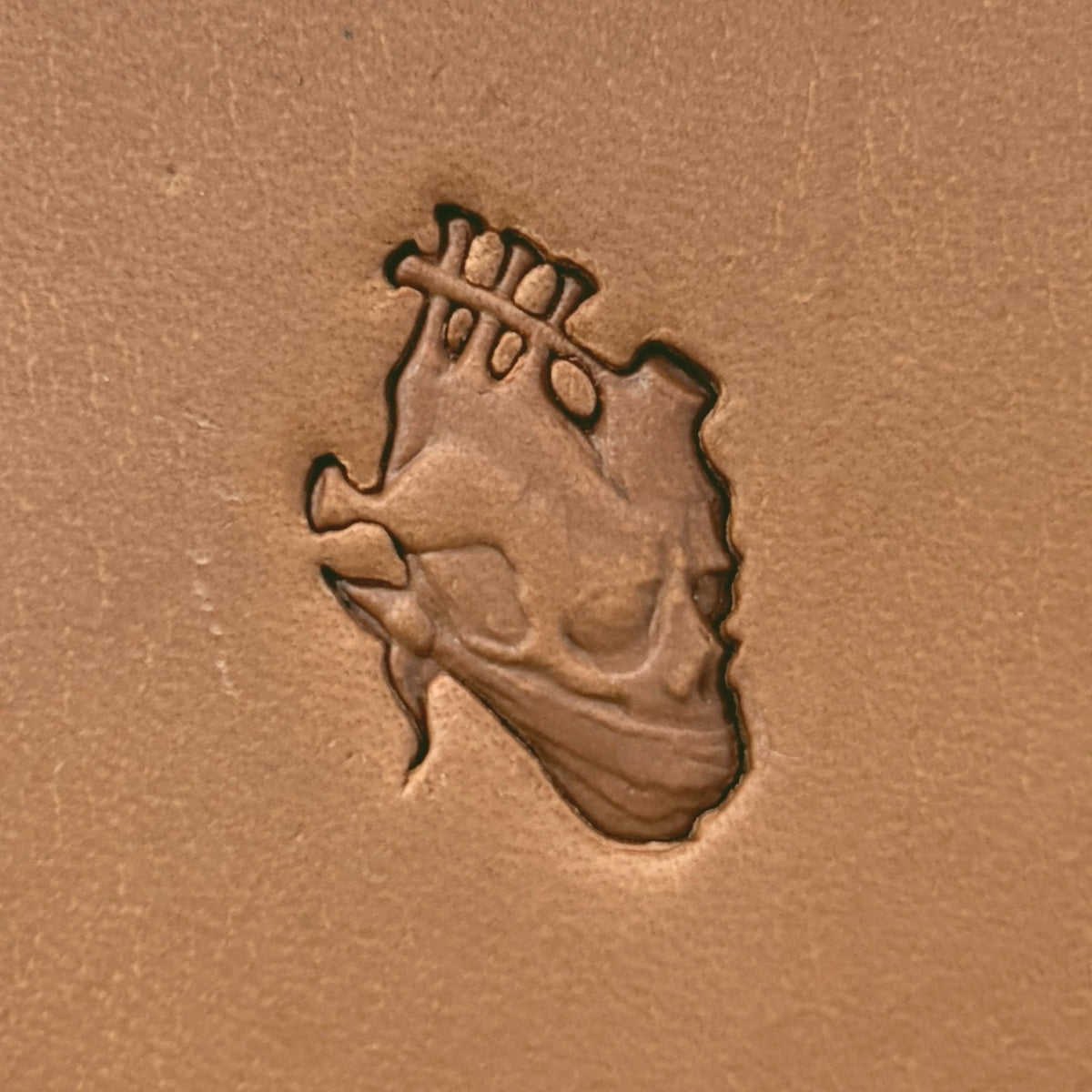 Head Dragon leather stamp LT617 — pattern imprint on veg-tan leather