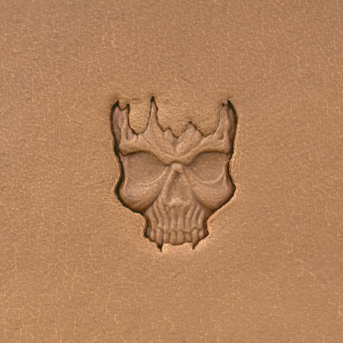 Cracked Skull leather stamp LT620 — pattern imprint on veg-tan leather