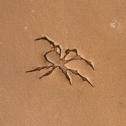 Spider Shape Animal leather stamp LT621 — single impression on veg-tan leather