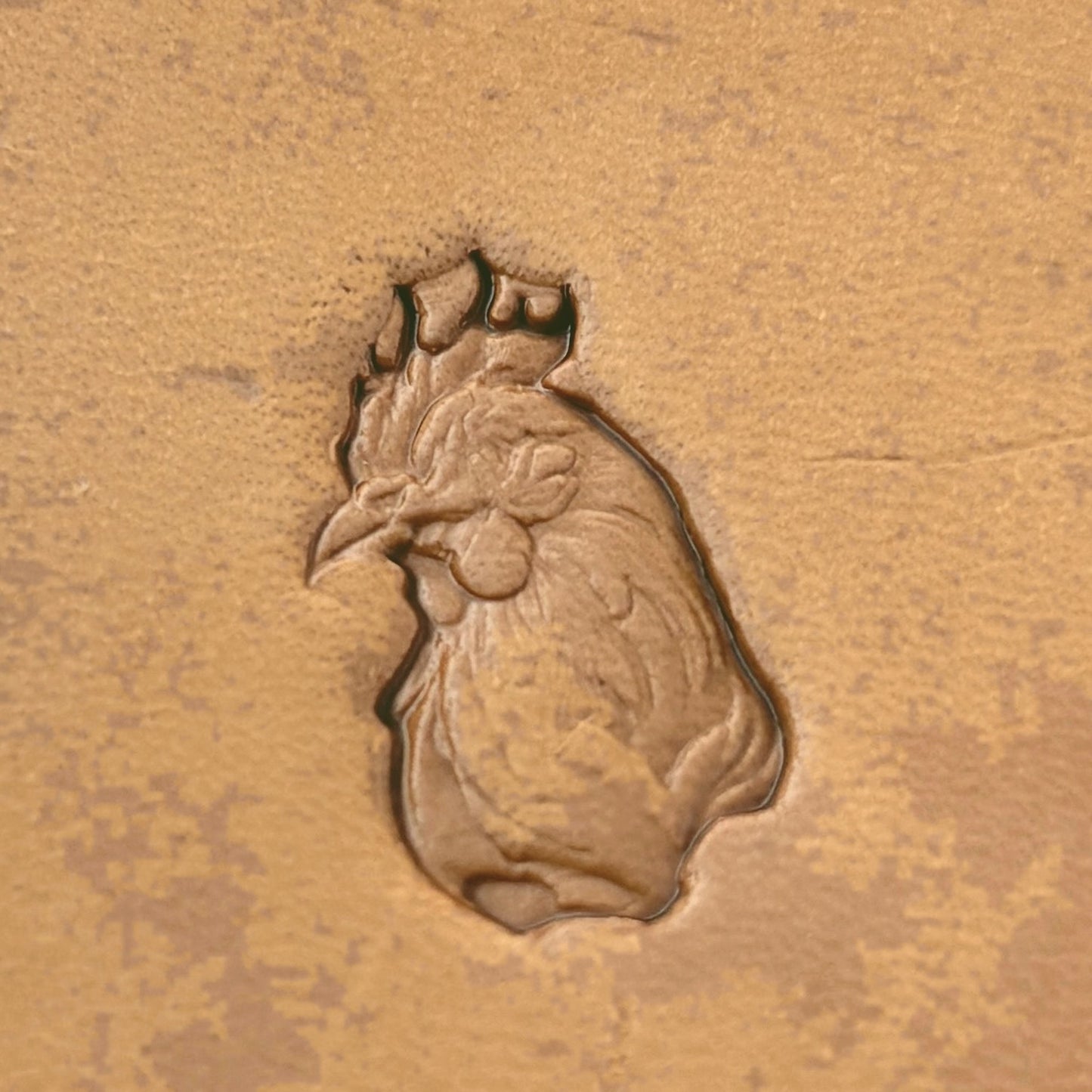Rooster Head Animal leather stamp LT623 — pattern imprint on veg-tan leather