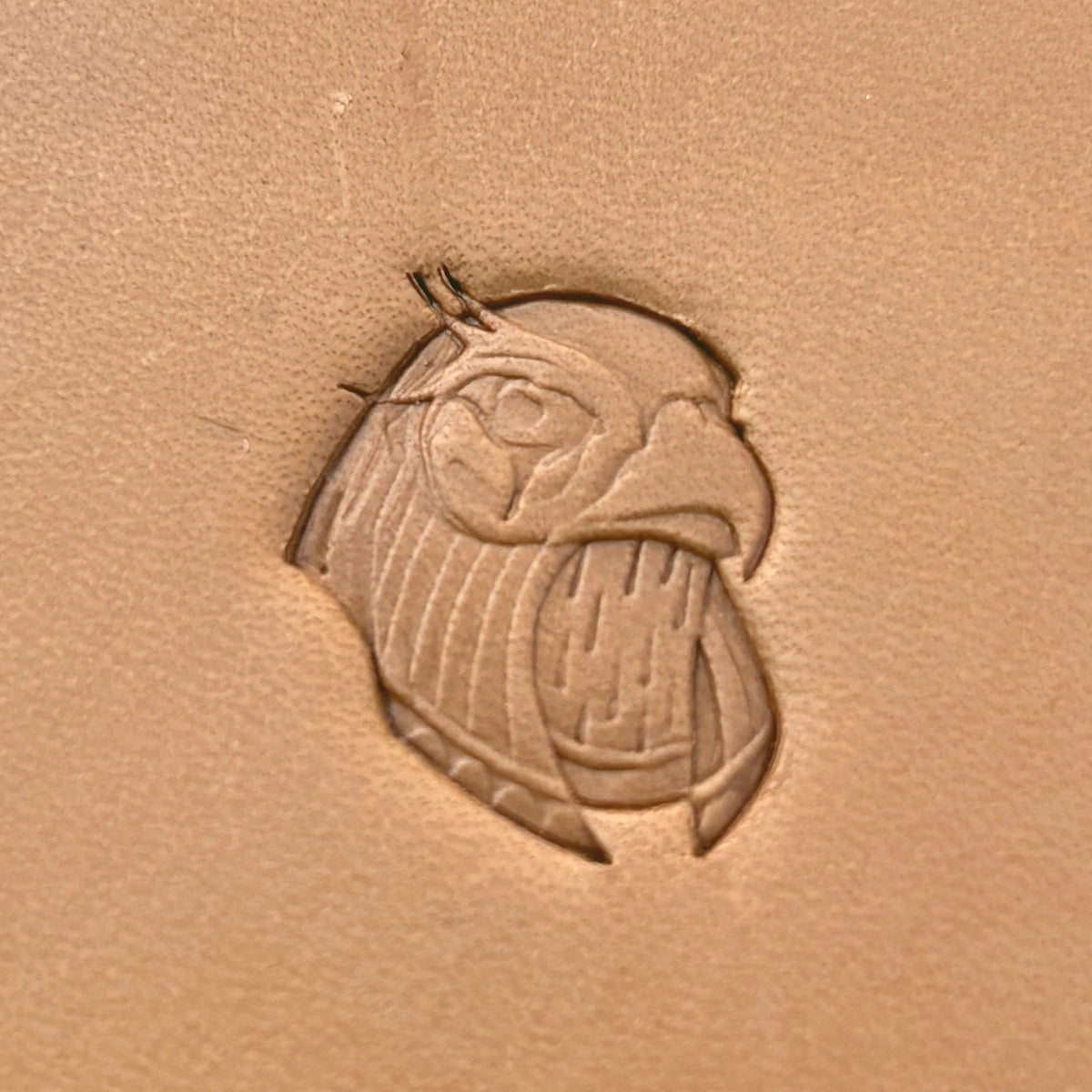 Fierce Head Eagle leather stamp LT625 — pattern imprint on veg-tan leather