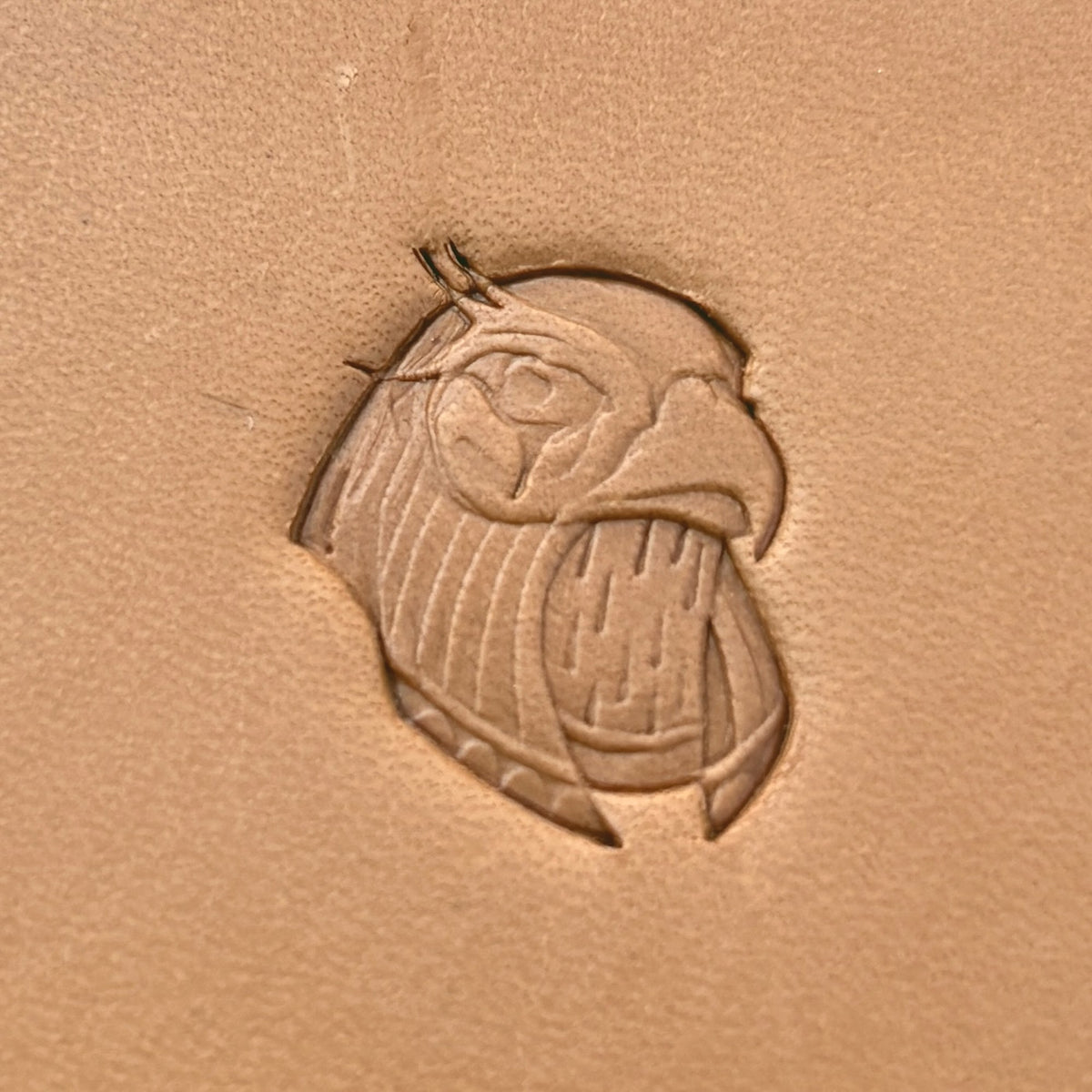 Fierce Head Eagle leather stamp LT625 — pattern imprint on veg-tan leather