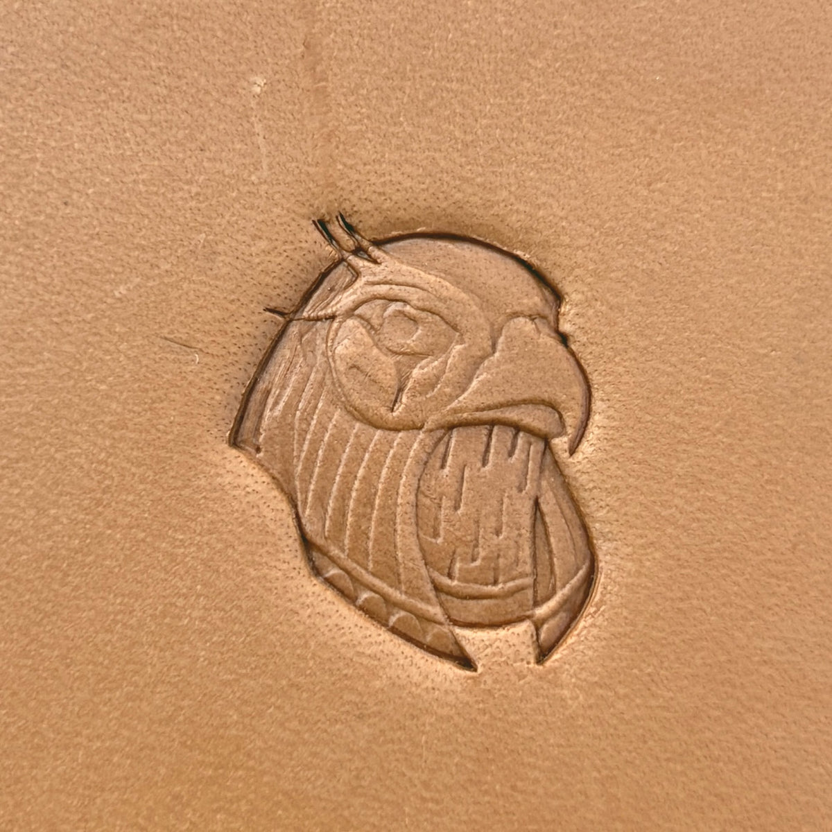 Fierce Head Eagle leather stamp LT625 — pattern imprint on veg-tan leather
