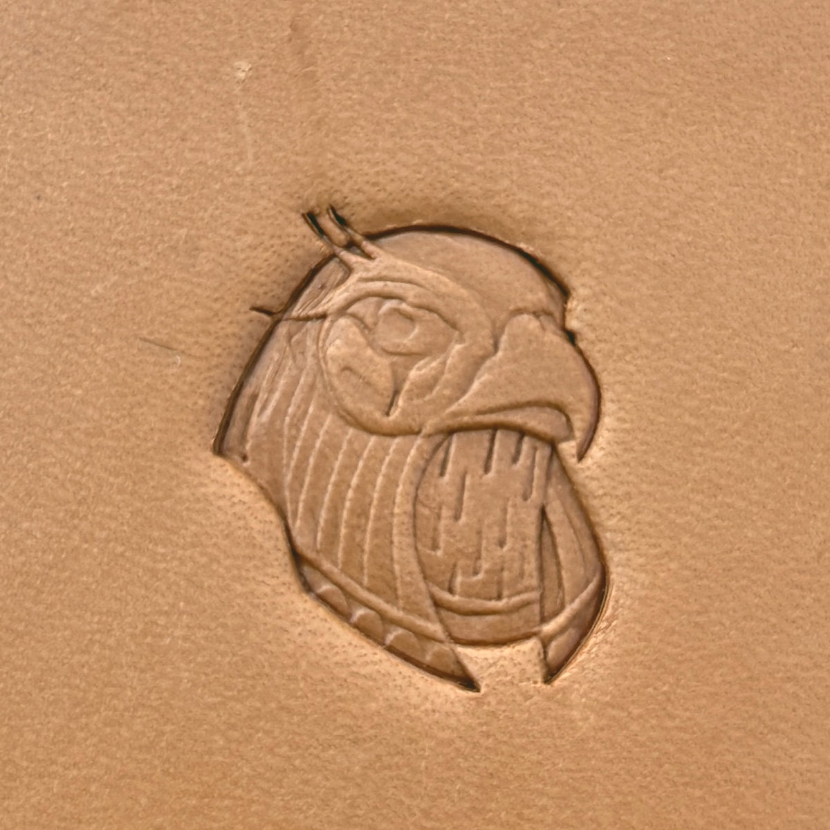 Fierce Head Eagle leather stamp LT625 — pattern imprint on veg-tan leather