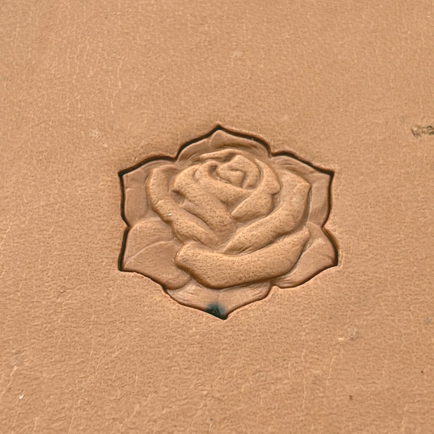 Blossom Rose leather stamp LT628 — pattern imprint on veg-tan leather