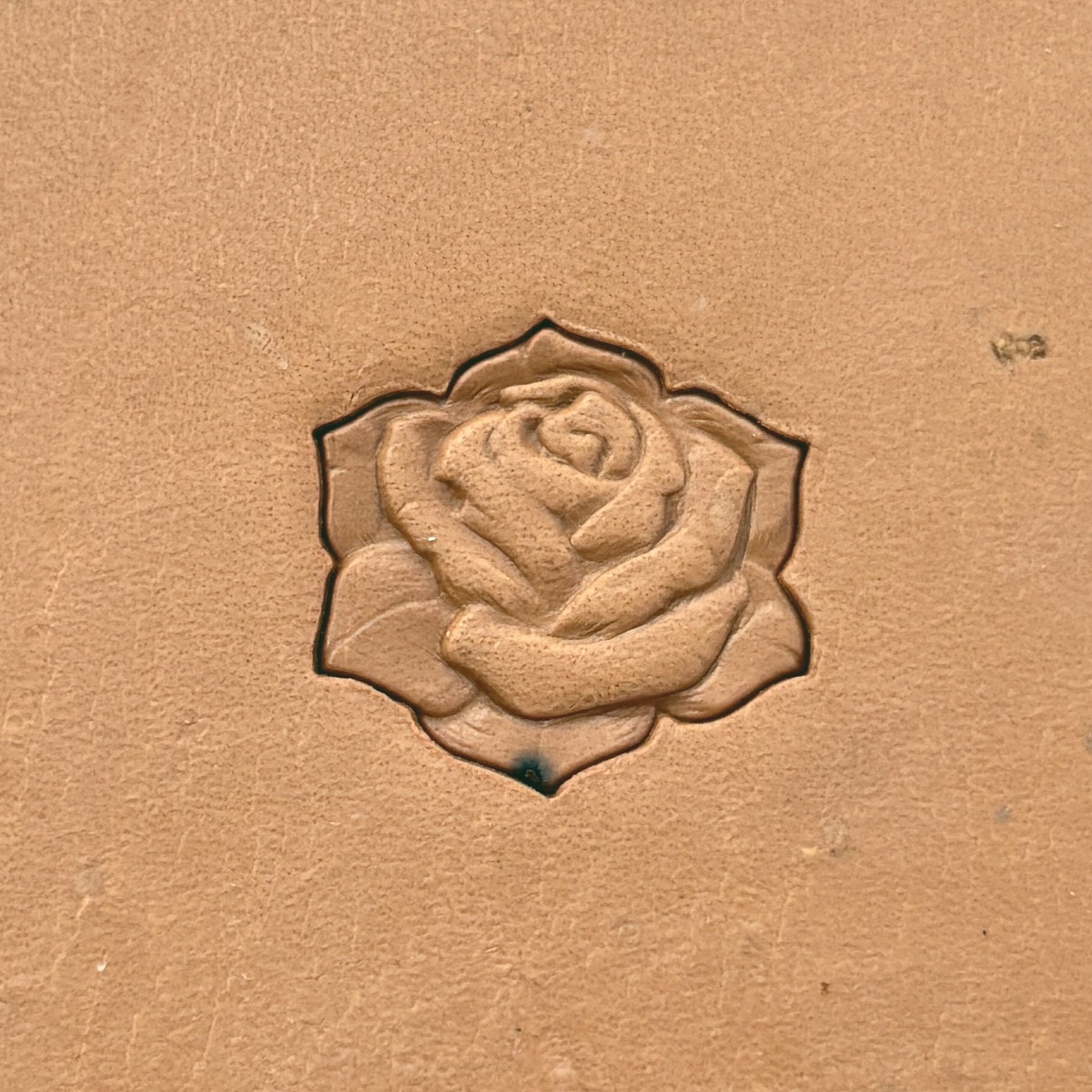 Blossom Rose leather stamp LT628 — pattern imprint on veg-tan leather