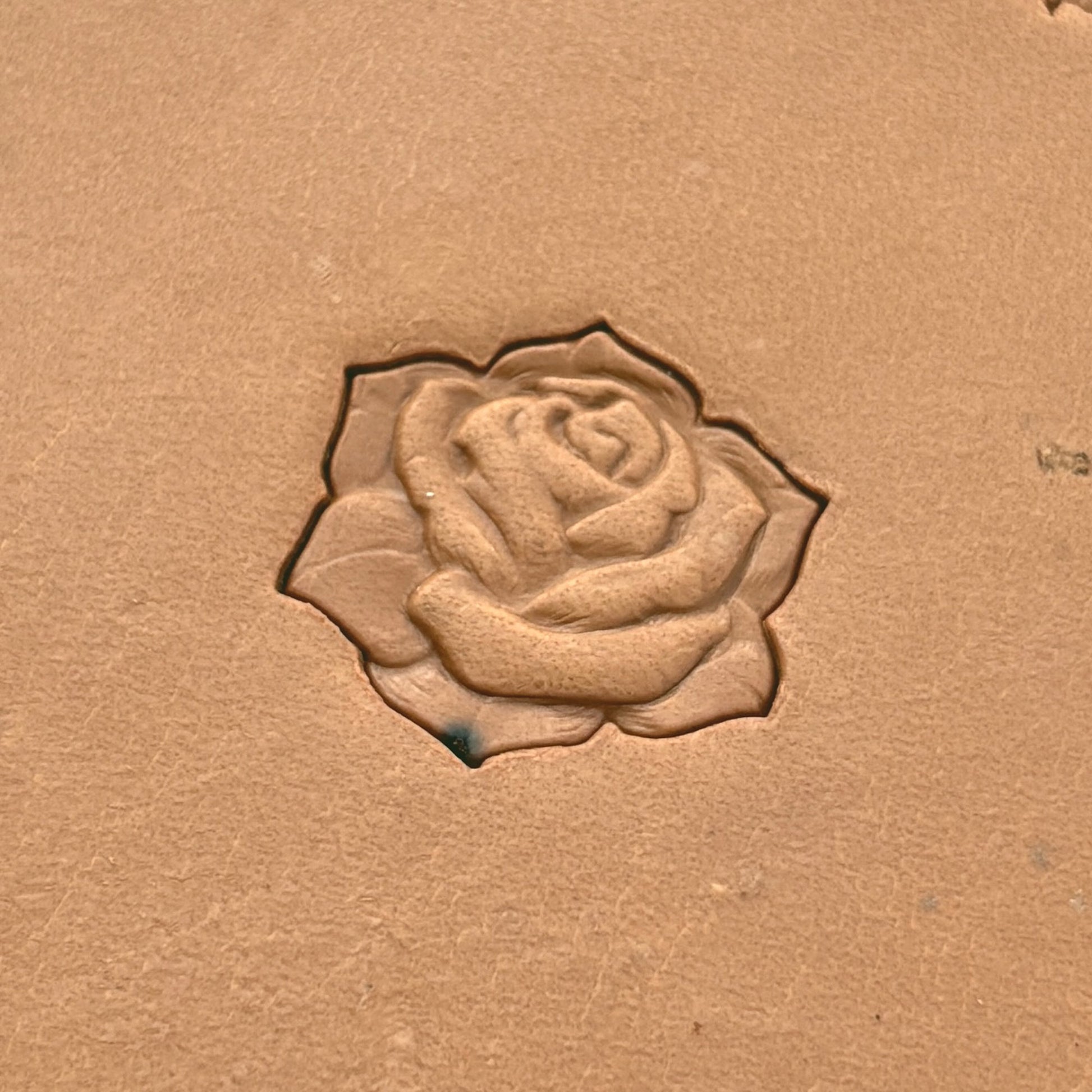 Blossom Rose leather stamp LT628 — single impression on veg-tan leather
