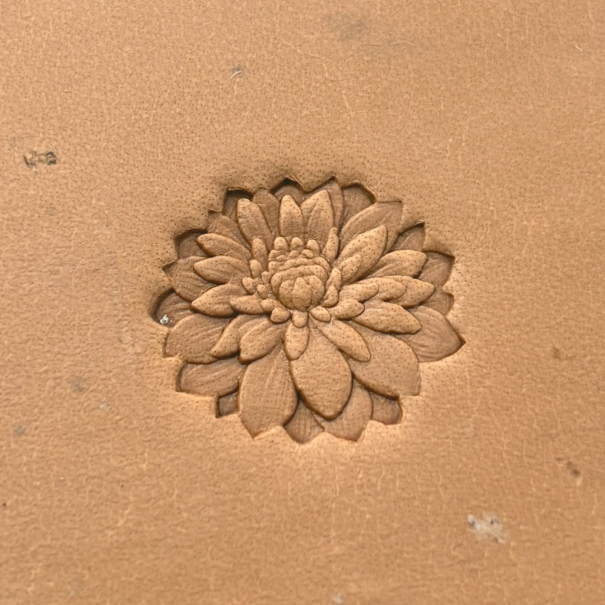 Chrysanthemum Flower leather stamp LT629 — pattern imprint on veg-tan leather