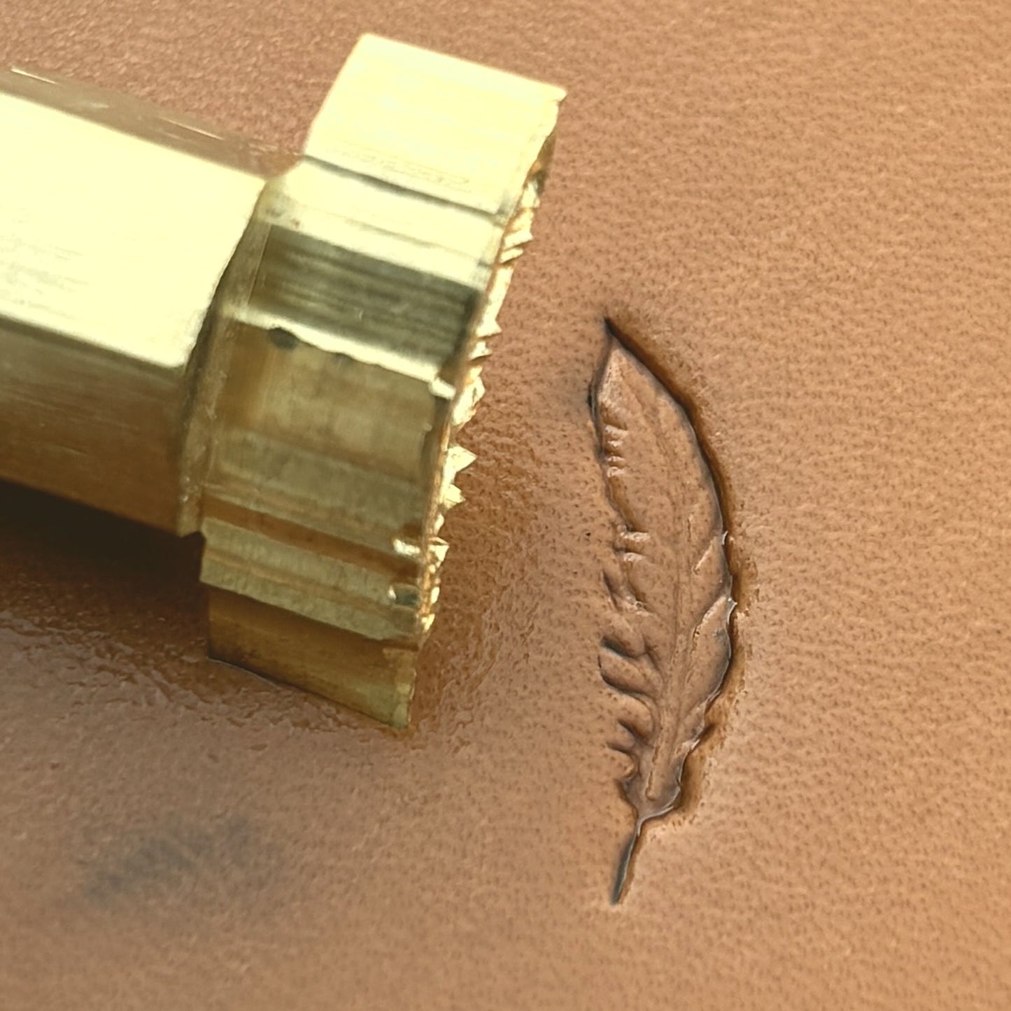 Feather leather stamp LT631 — brass stamping tool with imprint on natural veg-tan leather