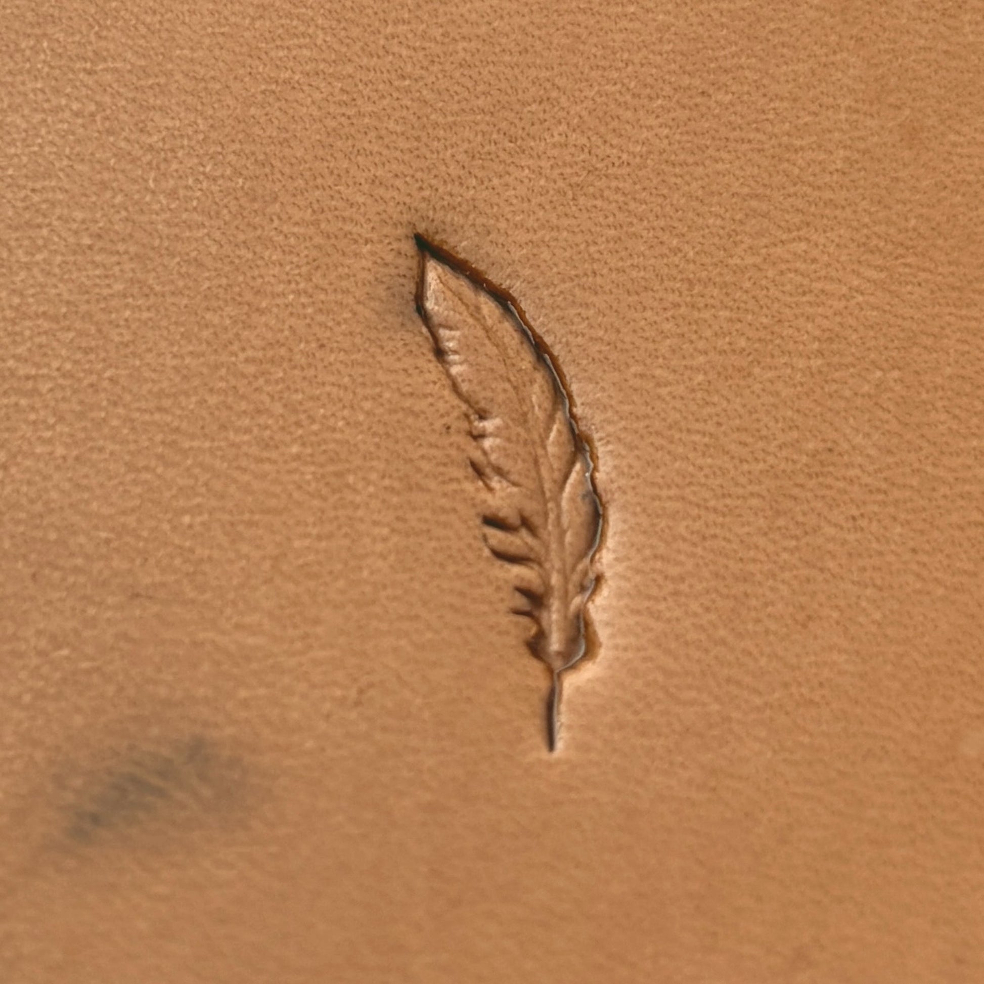 Feather leather stamp LT631 — pattern imprint on veg-tan leather