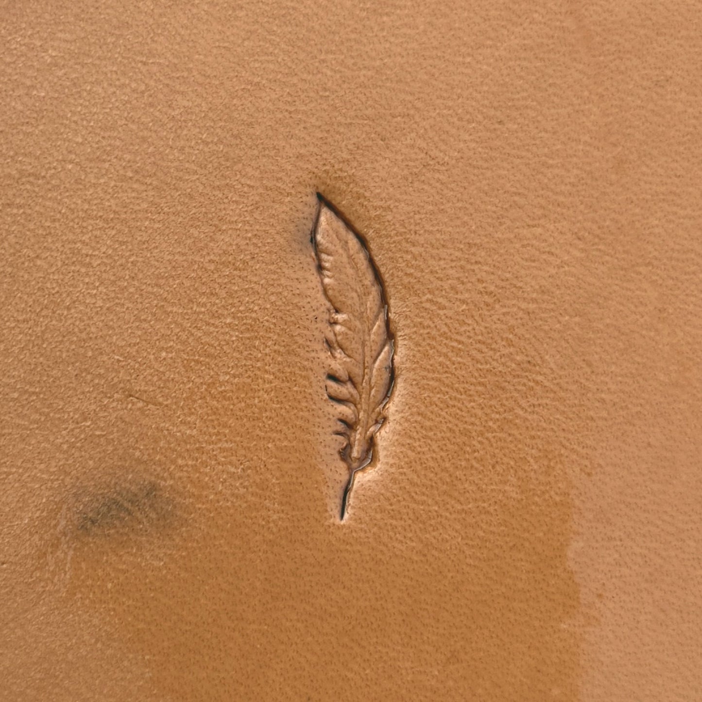 Feather leather stamp LT631 — single impression on veg-tan leather