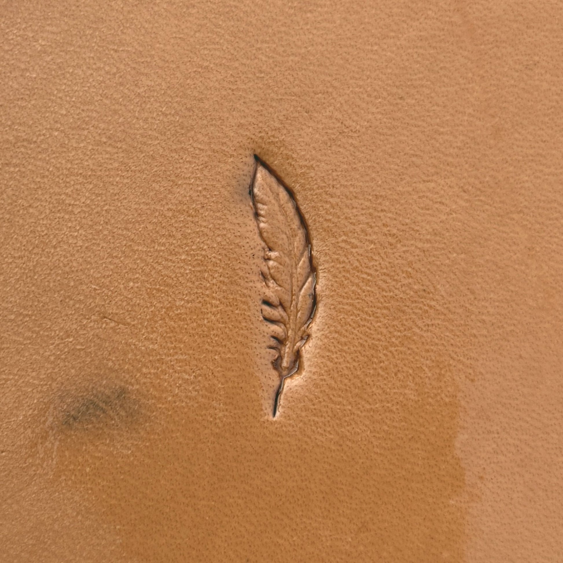 Feather leather stamp LT631 — single impression on veg-tan leather