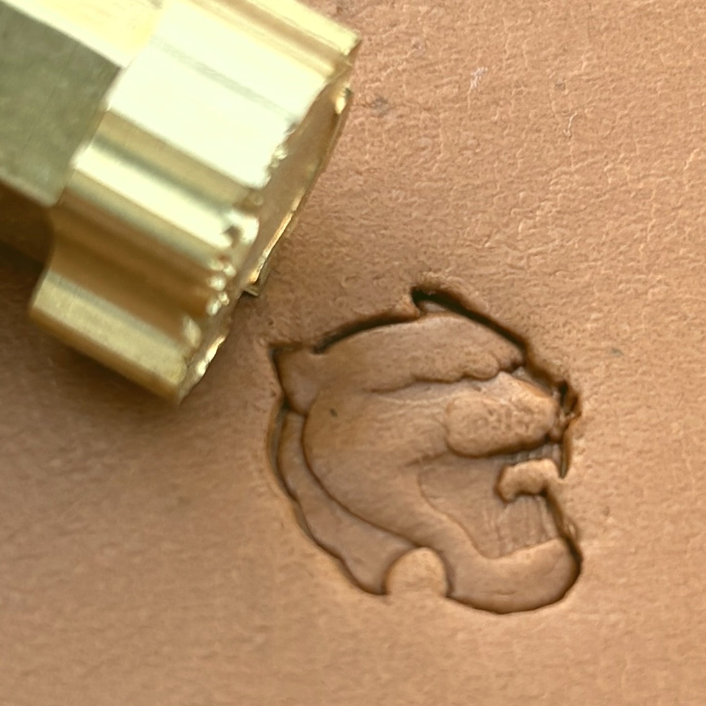 Roaring Head Lion leather stamp LT636 — brass stamping tool with imprint on natural veg-tan leather