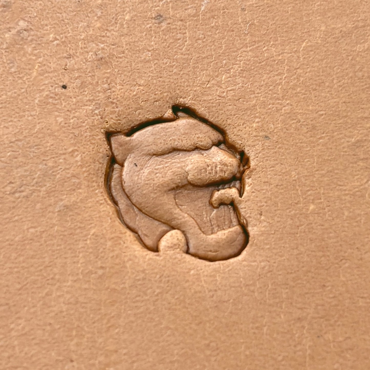 Roaring Head Lion leather stamp LT636 — pattern imprint on veg-tan leather