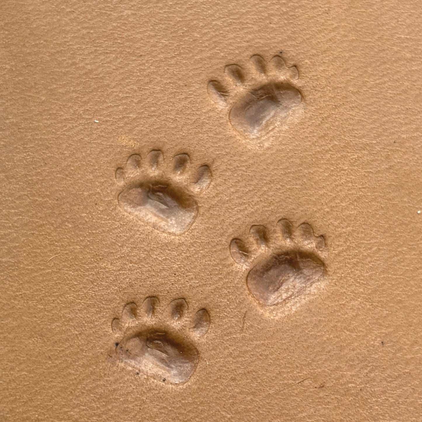 Tracks Paw Bear leather stamp LT637 — pattern imprint on veg-tan leather