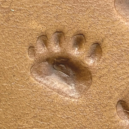 Tracks Paw Bear leather stamp LT637 — pattern imprint on veg-tan leather