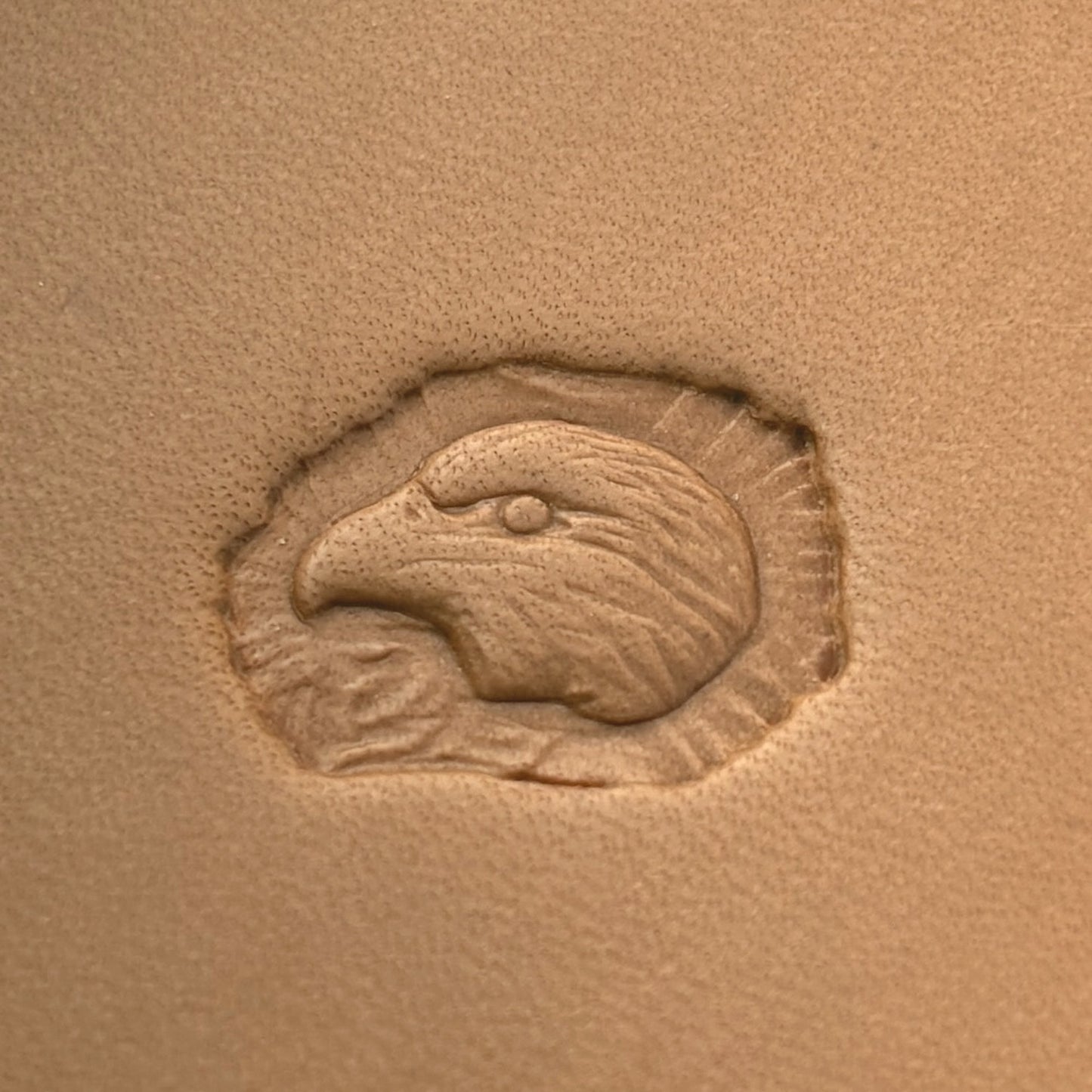 Bold Head Eagle leather stamp LT641 — pattern imprint on veg-tan leather