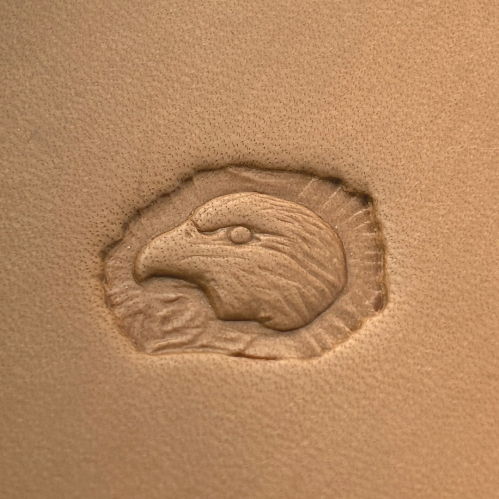 Bold Head Eagle leather stamp LT641 — pattern imprint on veg-tan leather