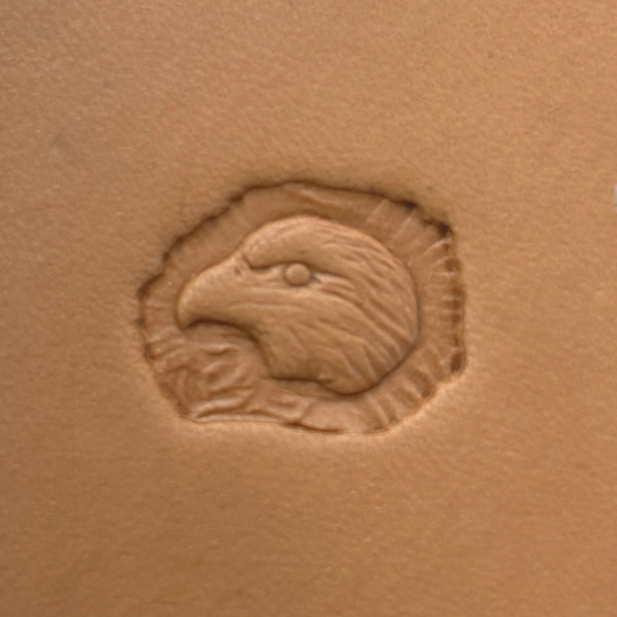 Bold Head Eagle leather stamp LT641 — pattern imprint on veg-tan leather