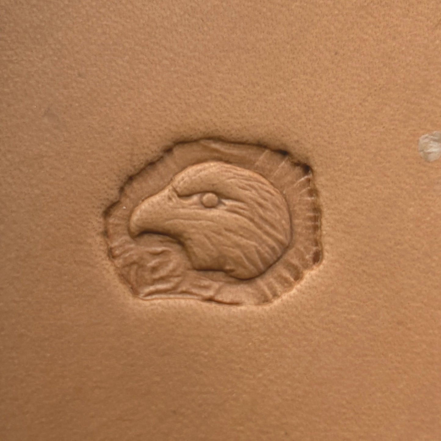 Bold Head Eagle leather stamp LT641 — single impression on veg-tan leather