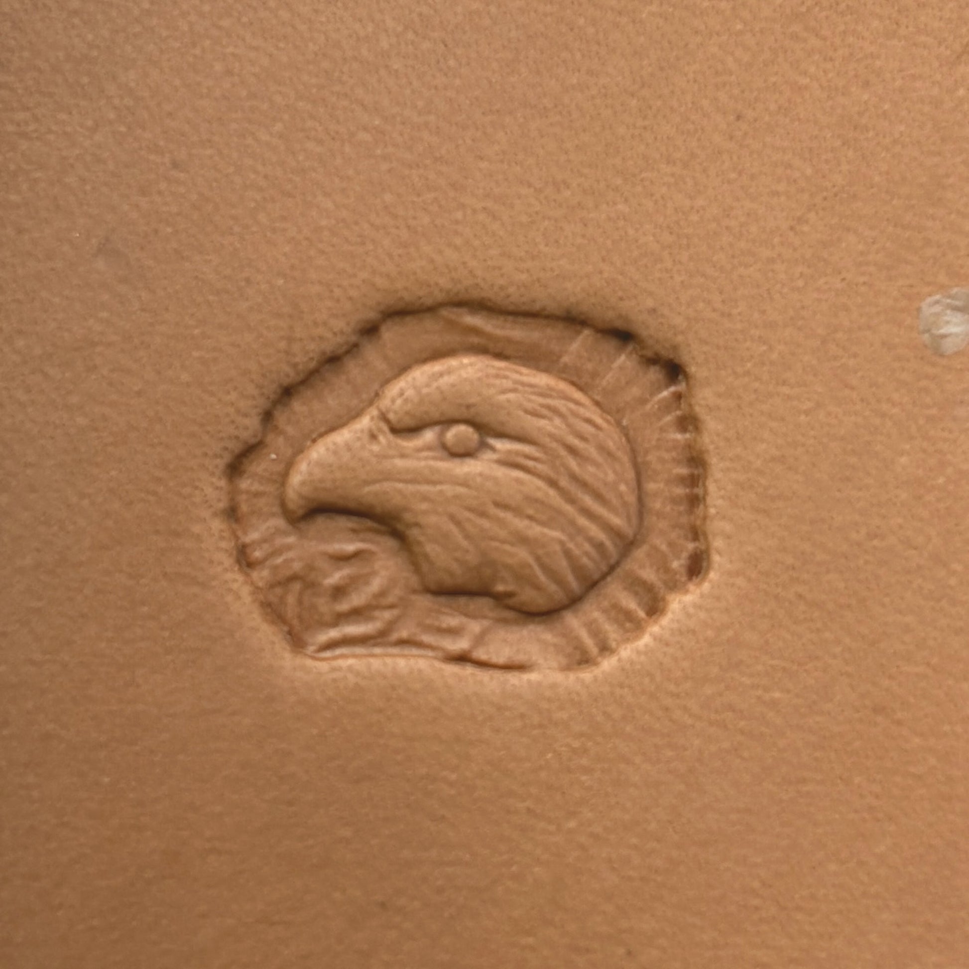 Bold Head Eagle leather stamp LT641 — single impression on veg-tan leather