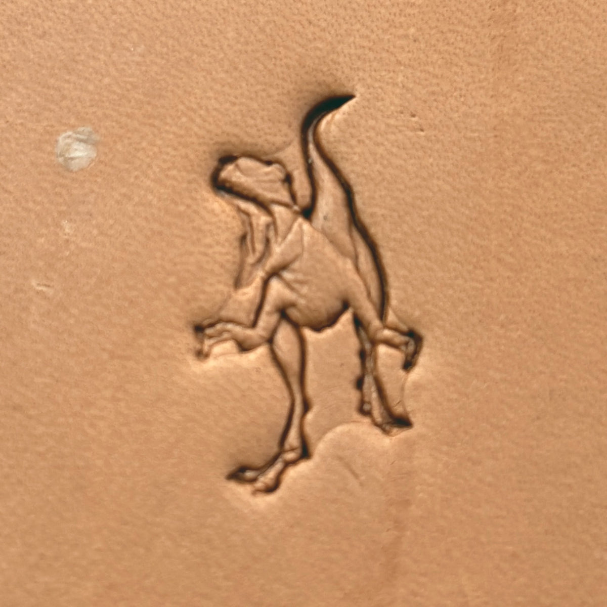 T-Rex leather stamp LT642 — pattern imprint on veg-tan leather