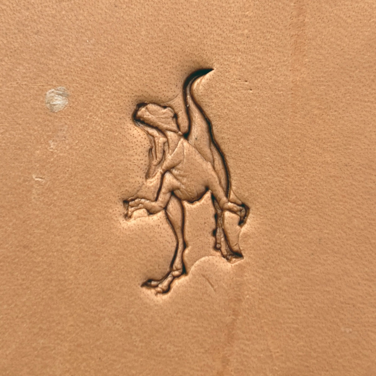 T-Rex leather stamp LT642 — single impression on veg-tan leather
