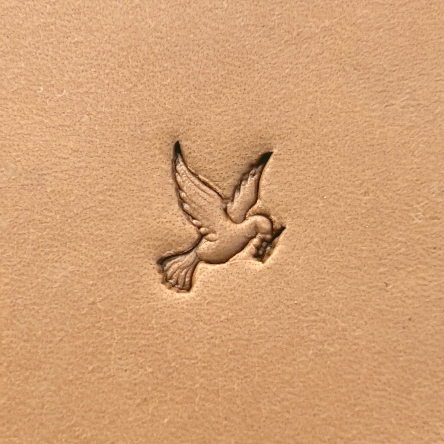 Flying Dove leather stamp LT643 — single impression on veg-tan leather