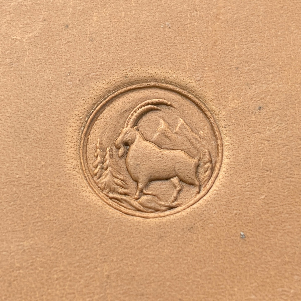 Mountain Scene Goat leather stamp LT644 — pattern imprint on veg-tan leather