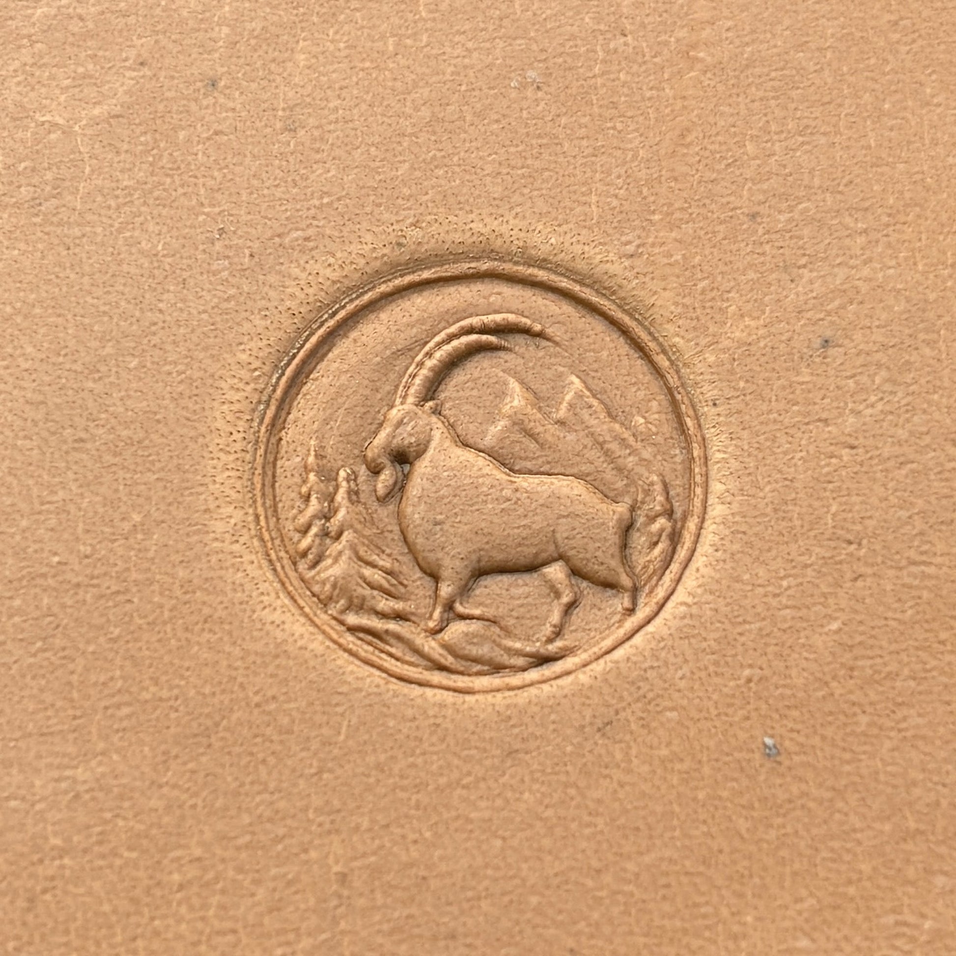 Mountain Scene Goat leather stamp LT644 — pattern imprint on veg-tan leather