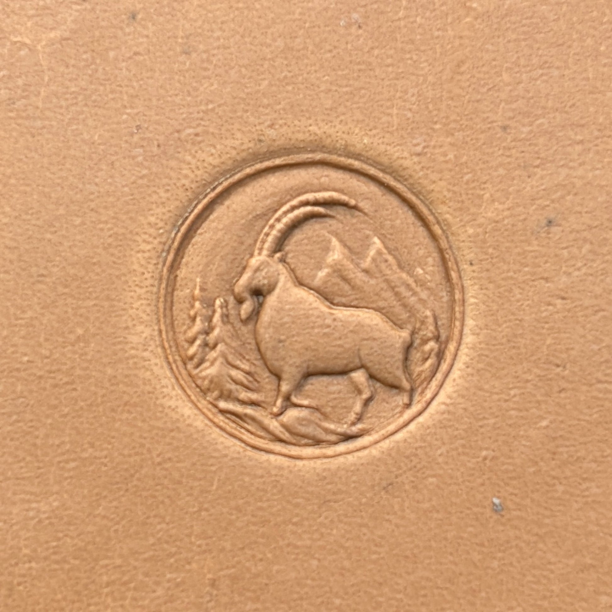 Mountain Scene Goat leather stamp LT644 — single impression on veg-tan leather