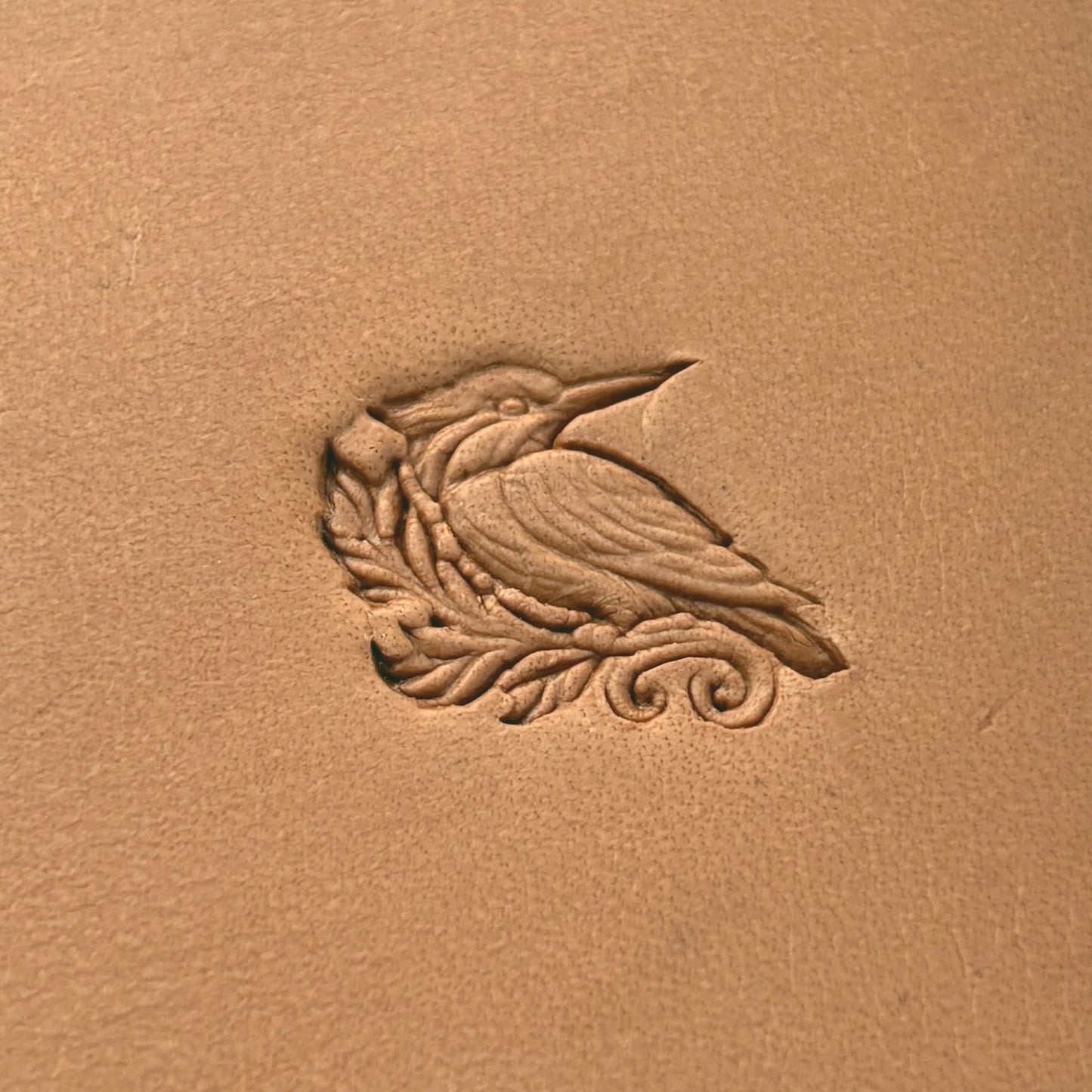 Kingfisher Bird leather stamp LT646 — pattern imprint on veg-tan leather