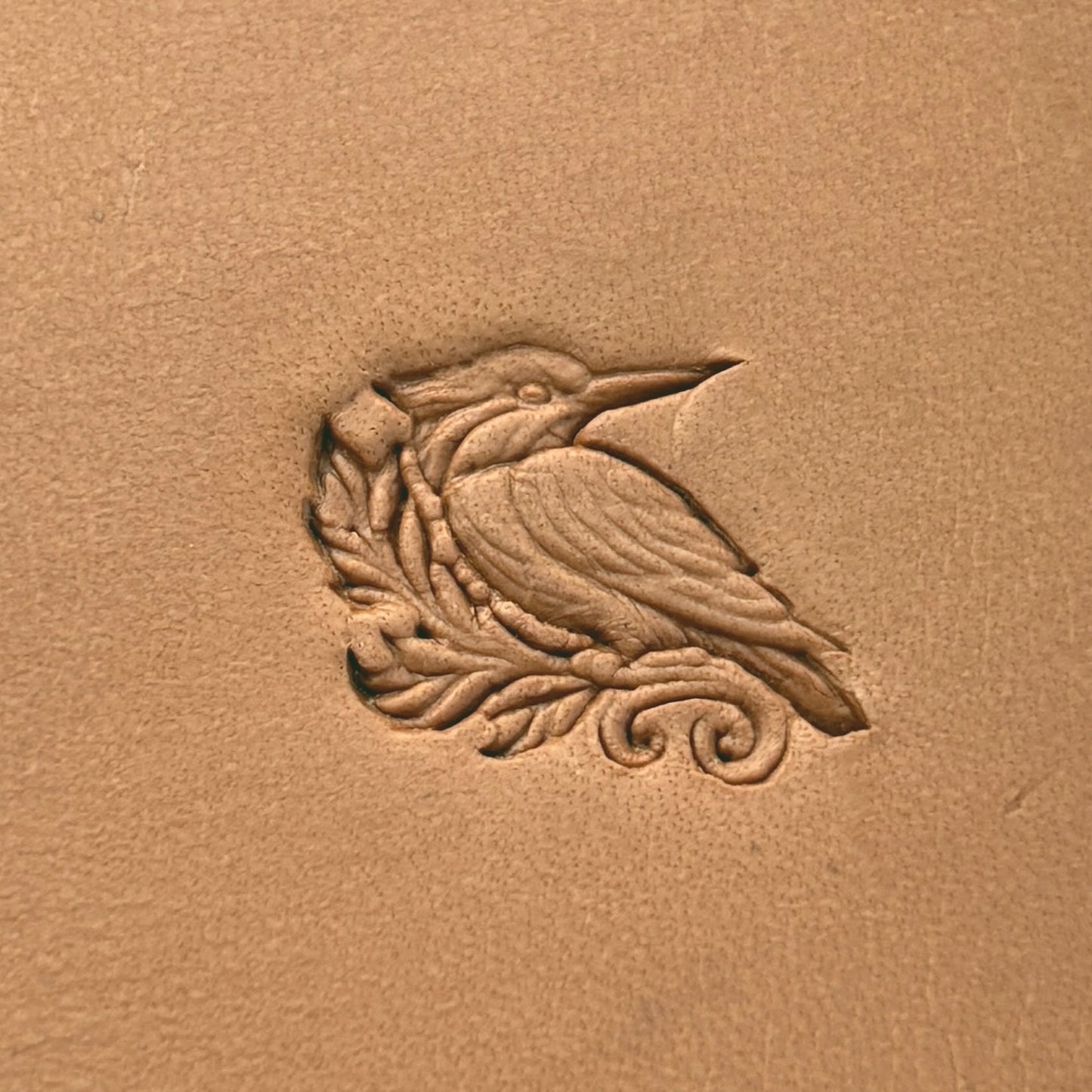 Kingfisher Bird leather stamp LT646 — pattern imprint on veg-tan leather