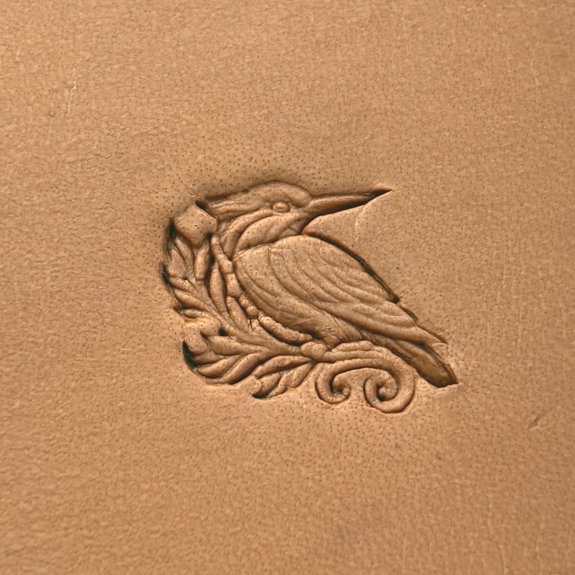 Kingfisher Bird leather stamp LT646 — pattern imprint on veg-tan leather