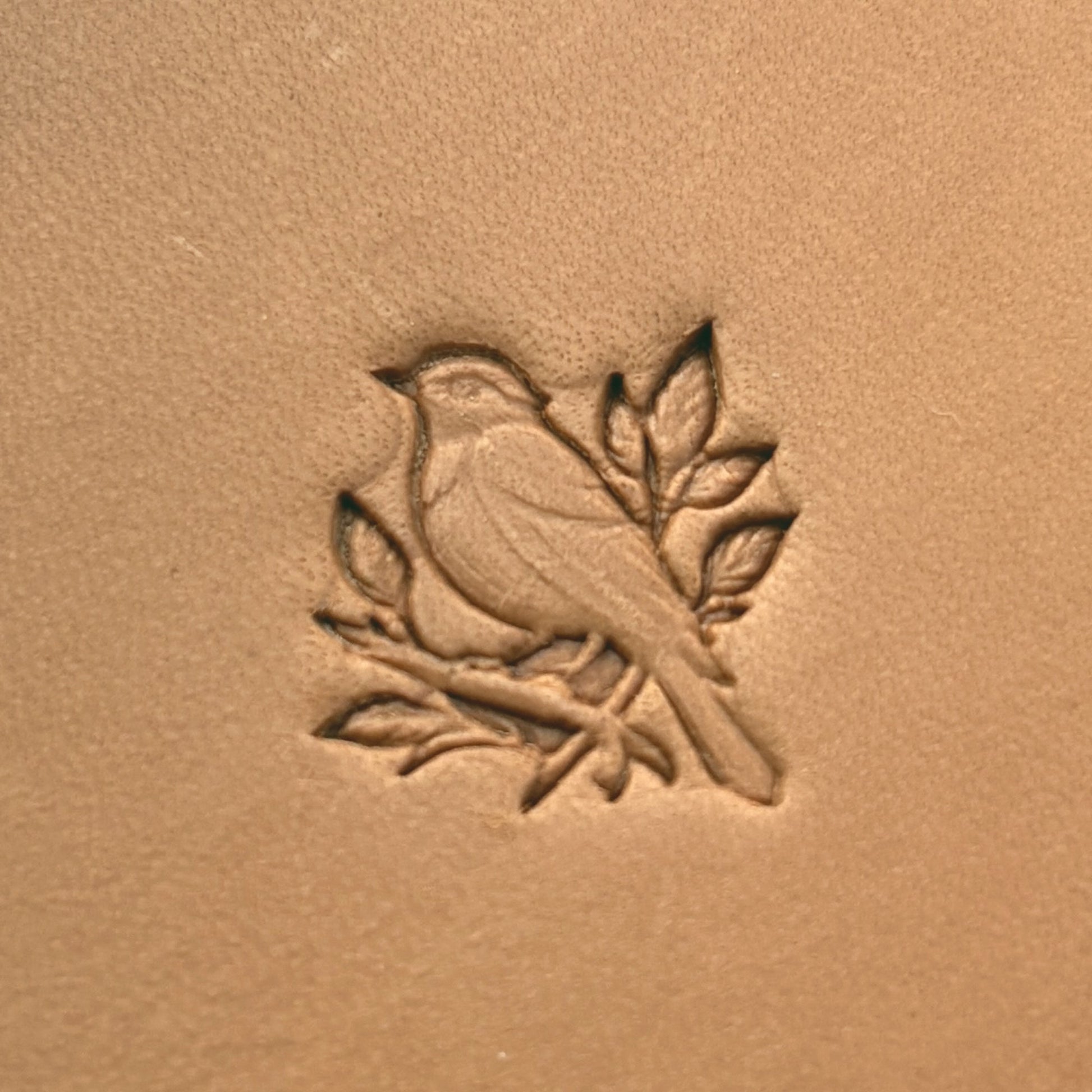 Songbird on Branch leather stamp LT647 — pattern imprint on veg-tan leather