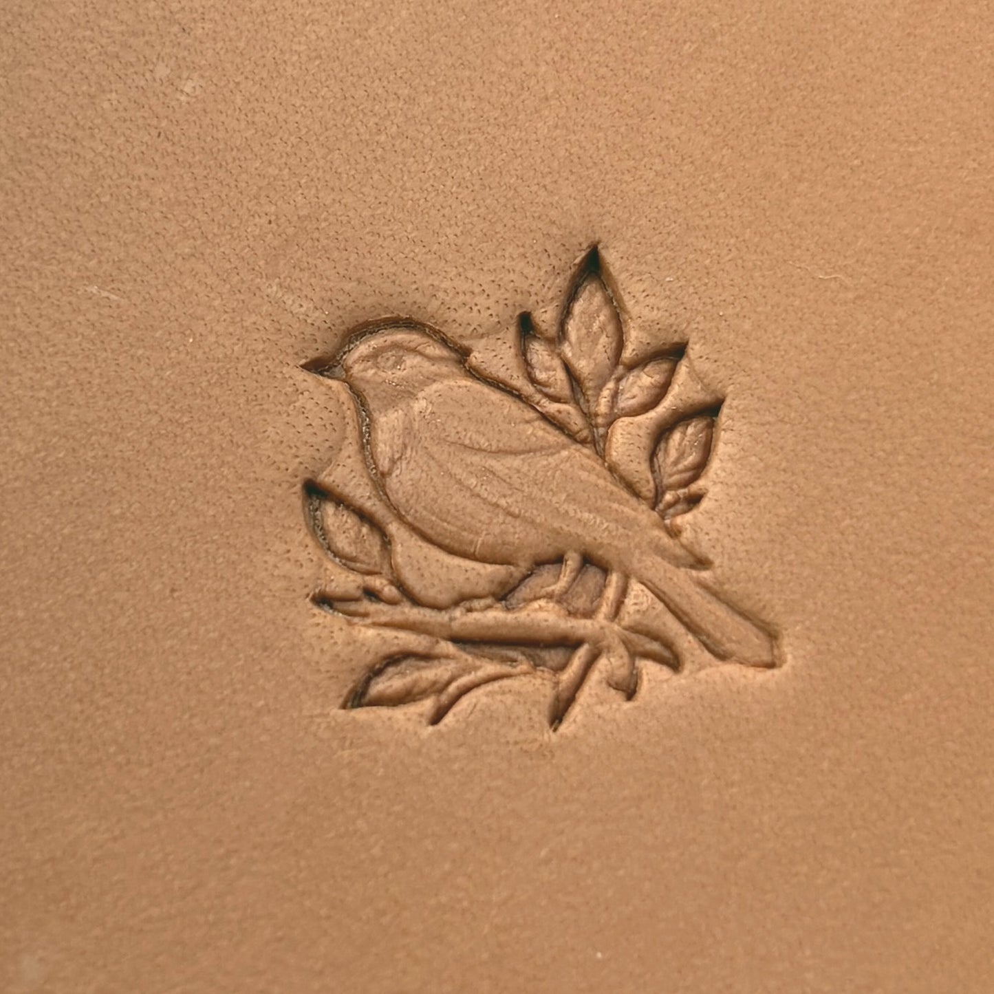 Songbird on Branch leather stamp LT647 — pattern imprint on veg-tan leather