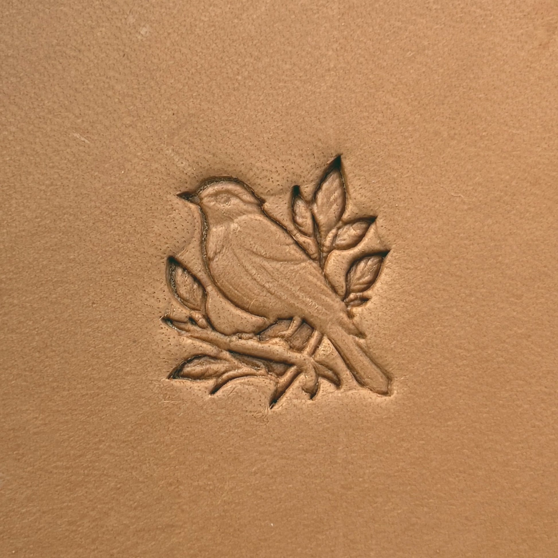 Songbird on Branch leather stamp LT647 — single impression on veg-tan leather