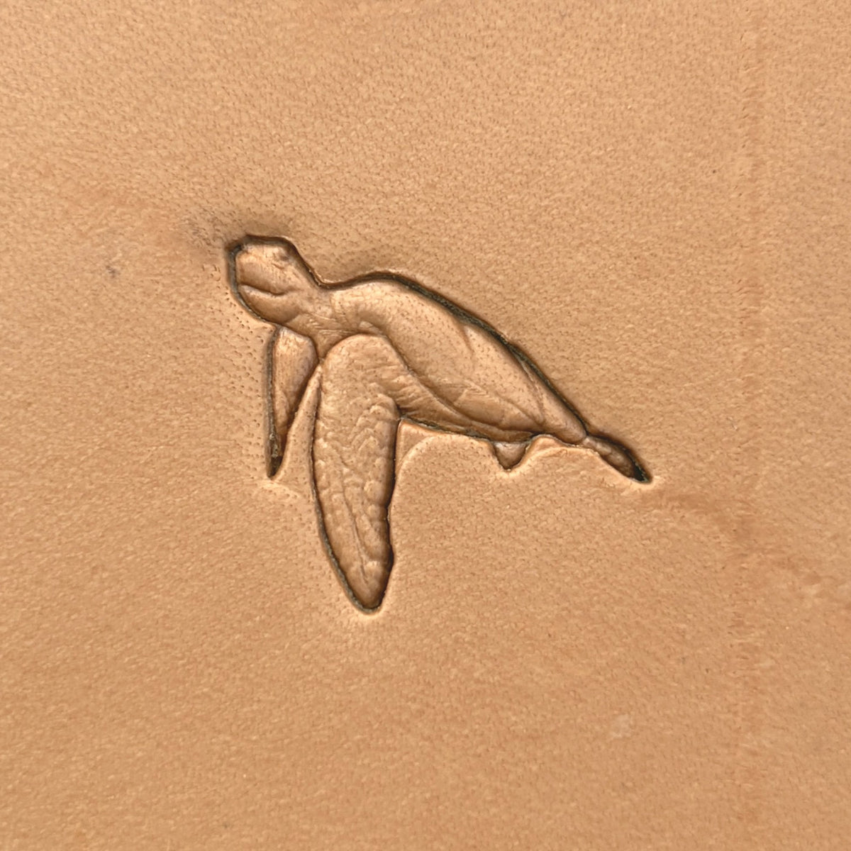 Swimming Sea Turtle leather stamp LT648 — single impression on veg-tan leather