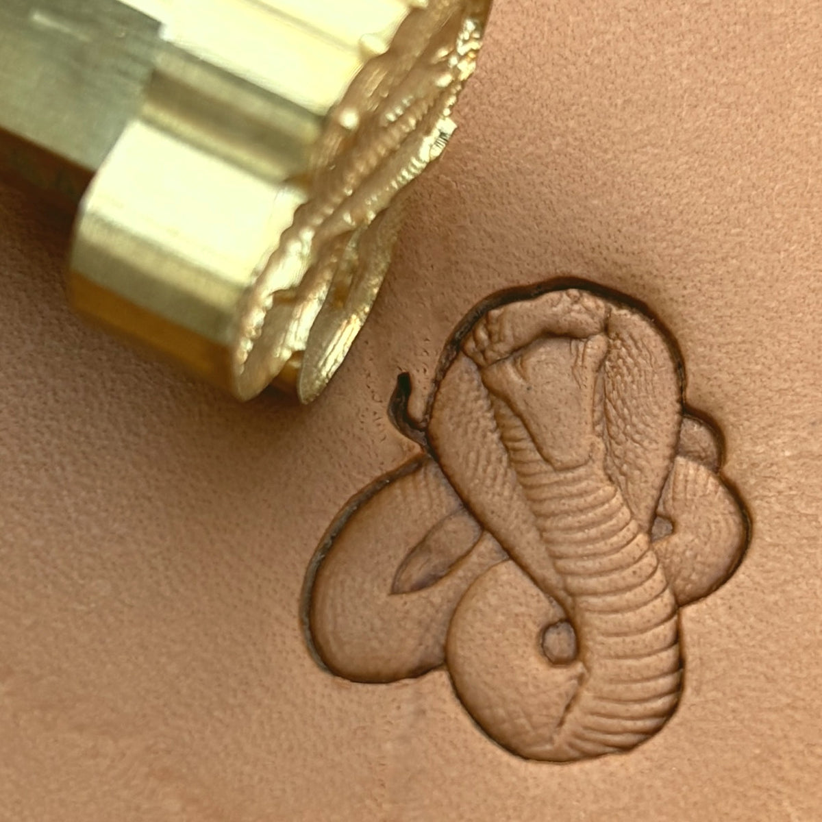 Cobra Snake leather stamp LT649 — brass stamping tool with imprint on natural veg-tan leather